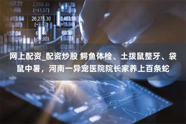 网上配资_配资炒股 鳄鱼体检、土拨鼠整牙、袋鼠中暑，河南一异宠医院院长家养上百条蛇