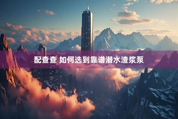 配查查 如何选到靠谱潜水渣浆泵